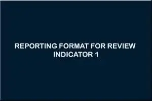 CLUSTER REVIEW REPORTING FORMAT